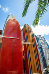 Surfboards stored outside near the beach in tropical sunshine