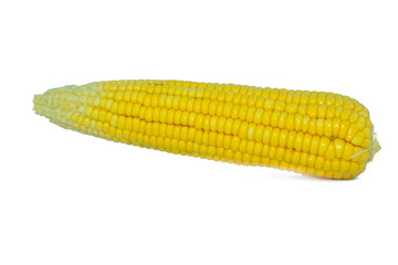 Side view of a yellow colored sweet corn isolated on a white background