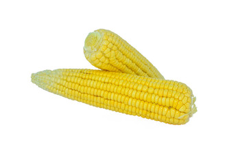 Side view of two yellow colored sweet corn isolated on a white background