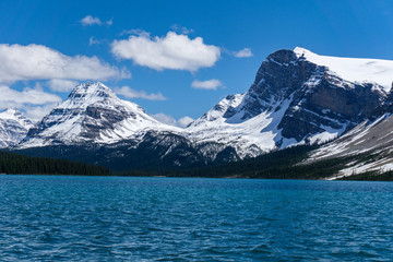 Bow Lake in Canada - lake in the mountains