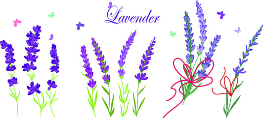 Wheat lawender field vector illustration for desind set