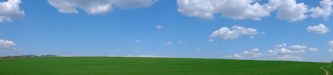 Obraz na płótnie Canvas Panoramic photo of a green field hill and blue sky with a nice cloudscape.
