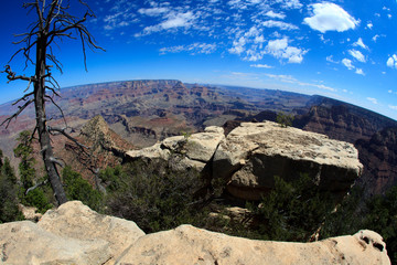 Arizona / USA - August 01, 2015: South Rim Grand Canyon landscape, Arizona, USA