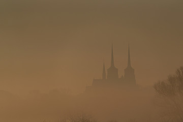 Fototapeta premium Peeking through the early morning mist