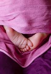 Close-up of newborn babie's feets, pink rough feets, pink and purple backround