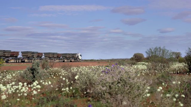 Road train traveling the Australian outback in Spring. Big truck carrying coal and mining materials across unsealed roads in Australia
