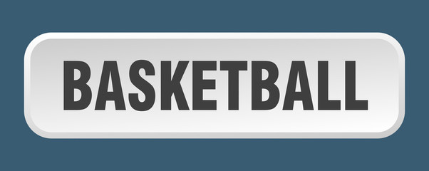 basketball button. basketball square 3d push button