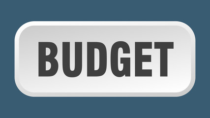 budget button. budget square 3d push button