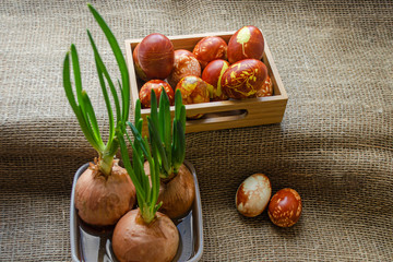 Easter eggs are coloured by ancient onion husk method with various natural patterns lying in sunshine on beige burlap next to the sprouted green onion. Concept of a light Christian holiday and Spring