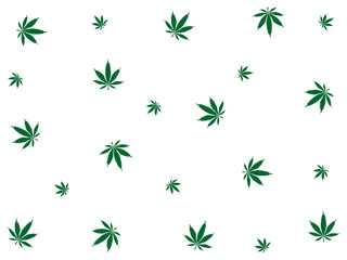 Cannabis leaves pattern background. Marijuana vector seamless pattern engraving plant illustration