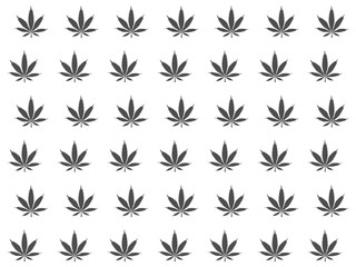 Cannabis leaves pattern background. Marijuana vector seamless pattern engraving plant illustration