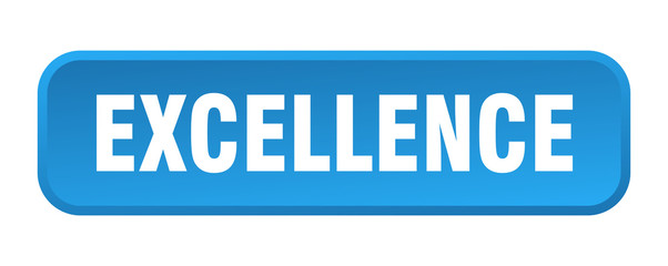 excellence button. excellence square 3d push button