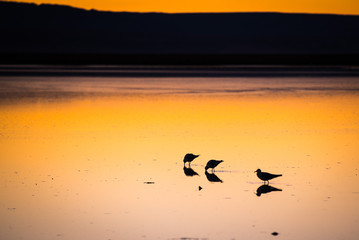a dark nigh on san pedro de atacama