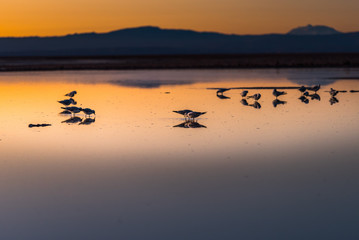 Naklejka premium a dark nigh on san pedro de atacama