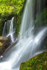 waterfall in forest