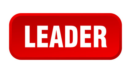 leader button. leader square 3d push button