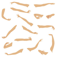 Fototapeta na wymiar Women s hands. Beautiful graceful silhouettes. Collection. Vector illustration of a set.