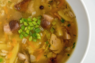 porcino soup, decorated with green onion