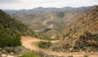 Winding snake trail with saguaro cactus, back country Arizona
