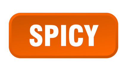spicy button. spicy square 3d push button