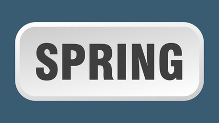 spring button. spring square 3d push button