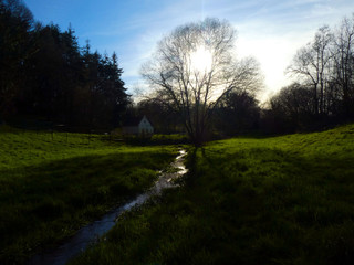 Obraz premium rivière