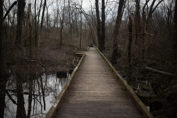 Obraz premium wooden bridge in the forest