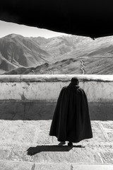 Buddhist monk walking down the stairs of the Tibetan monastery, Tibet, China.