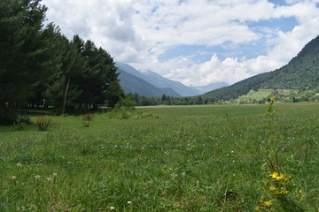 Fototapeta na wymiar meadow in the mountains