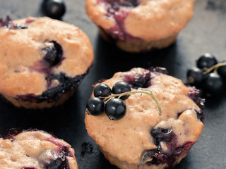 Muffins with black currant on dark background close up