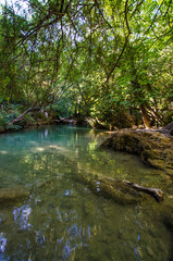 nature rivière fôret eau arbre pierre