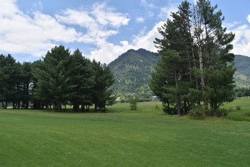 golf course in the park
