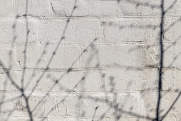 Old concrete wall, natural texture. Light background. The shadows.