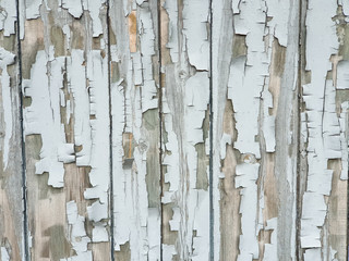 Background texture gray broken paint on old garage wooden boards 