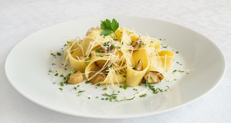 pappardelle pasta with mushrooms and cheese decorated with parsley