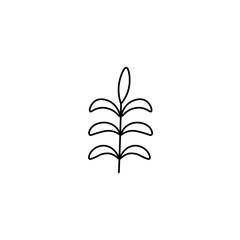 Hand drawn flat vector branch with leaves isolated on a white background.