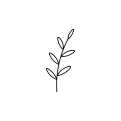 Hand drawn flat vector branch with leaves isolated on a white background.