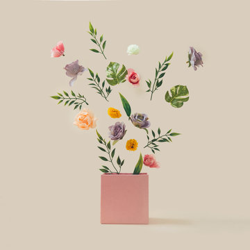 Spring flowers and leaves coming out of pink box. Spring nature concept. Season background idea.