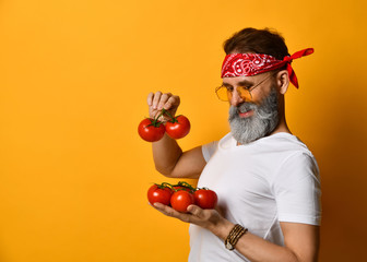 Mature man in red bandana, white t-shirt, sunglasses and bracelet. He smiling, holding red tomatoes, posing on orange background