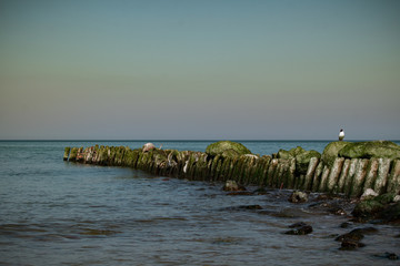 view of the rocky beach of the sea or ocean in sunny weather with clear blue sky