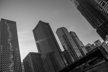 Skyscrapers along the river in Chicago