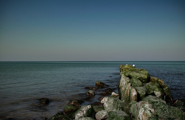 view of the rocky beach of the sea or ocean in sunny weather with clear blue sky