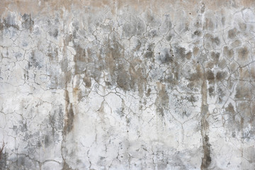 Concrete grey texture or background
