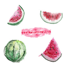 Vector image of a watermelon and halves of a watermelon drawn in lines on top of a watercolor drawing and with the inscription Watermelon
