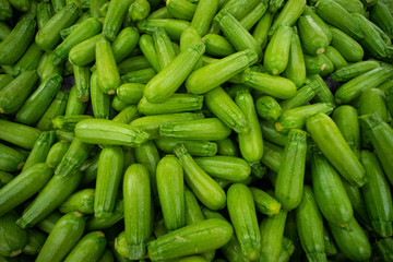 Green Squash