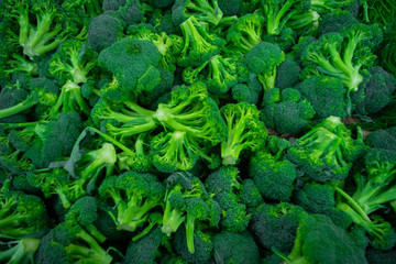Broccoli