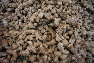 Ginger