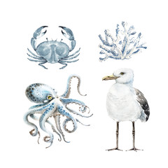 Set of watercolor illustrations in a marine style. seagull, octopus and crab on a white background