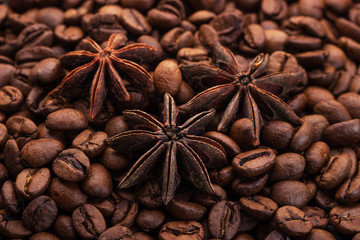 stars anise against the background of coffee beans