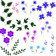 Fototapeta na wymiar Floral collection. Flower, bud, bouquet, leaves. Illustration wiht cornflower and leaves. Vector illustration.